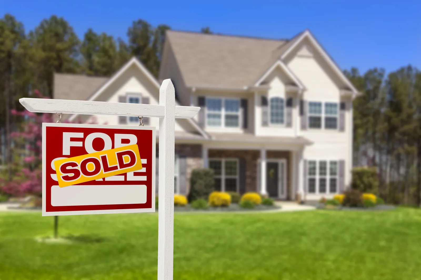Real Estate Services
