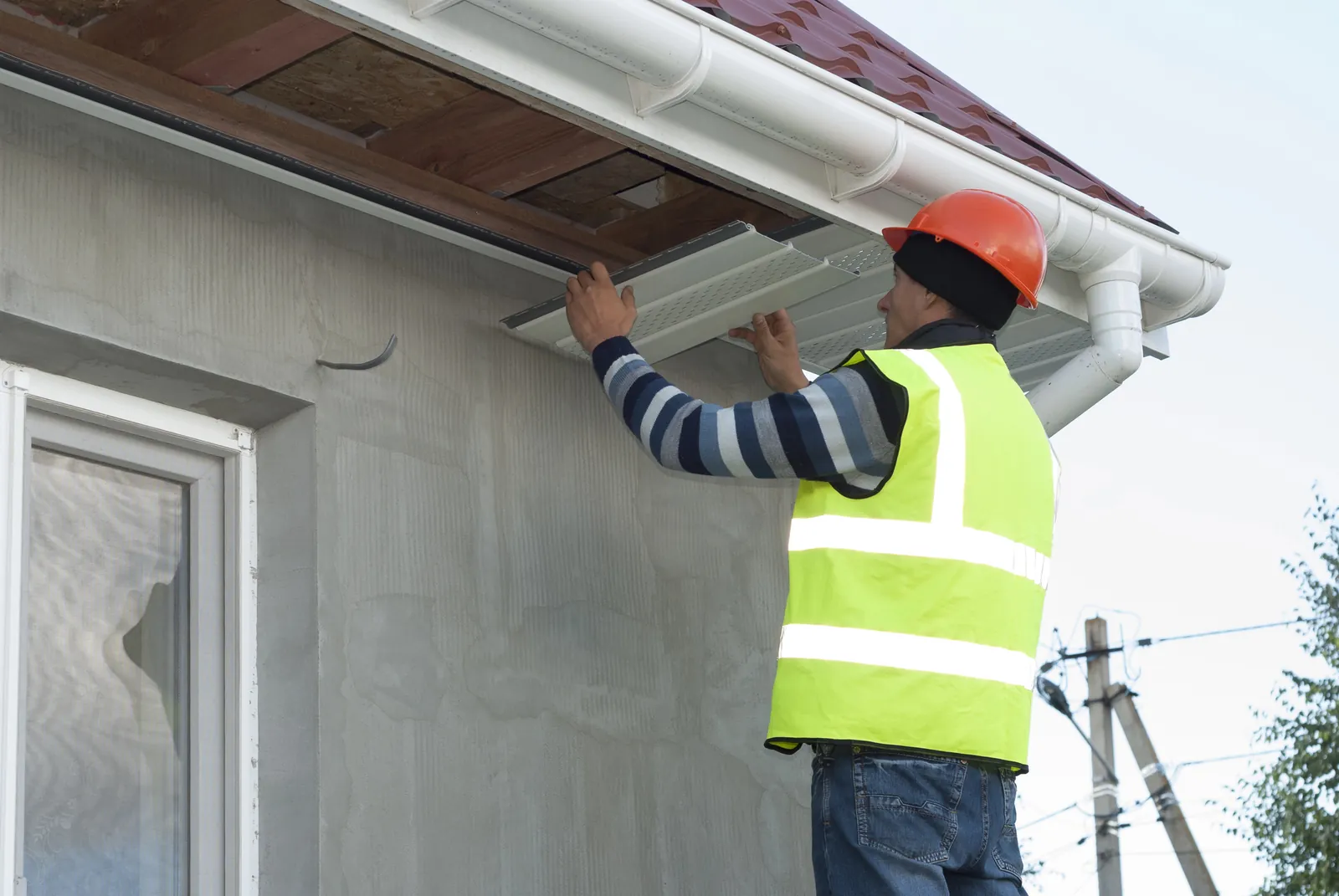 Pest & Wildlife Damage Repairs